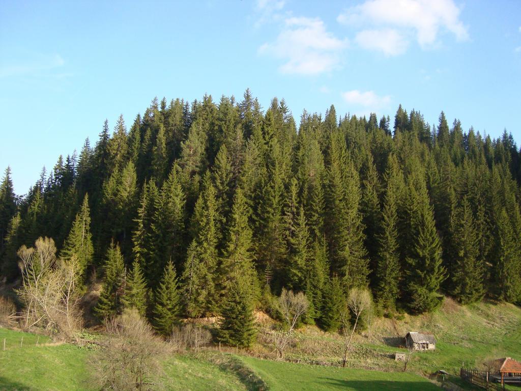Kuma Lissa Guest House Kozhari Cameră foto