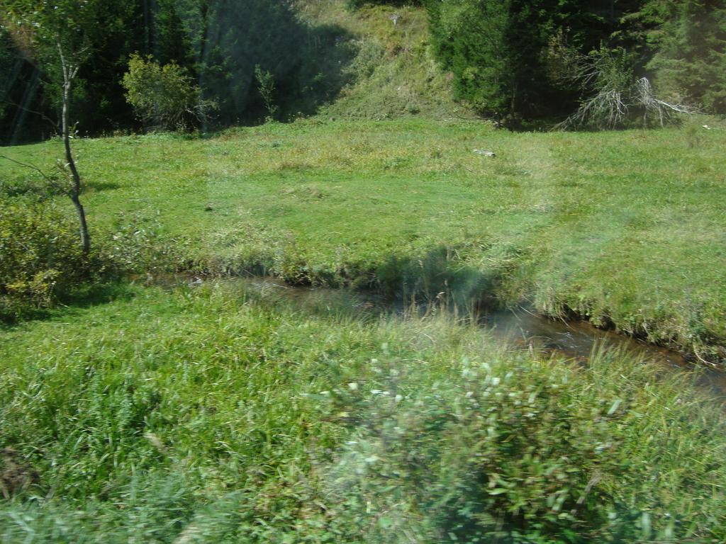 Kuma Lissa Guest House Kozhari Cameră foto
